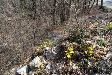 Matulji, Brešca 19613 m2