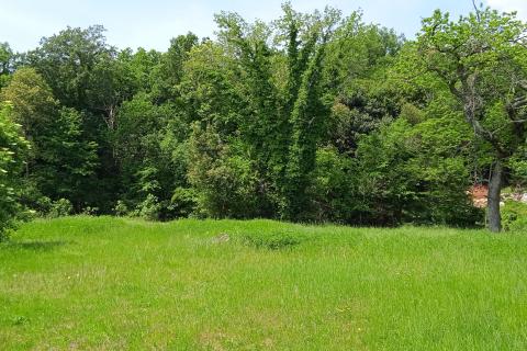 Ika, Opatija - Okolica, 2.081m2