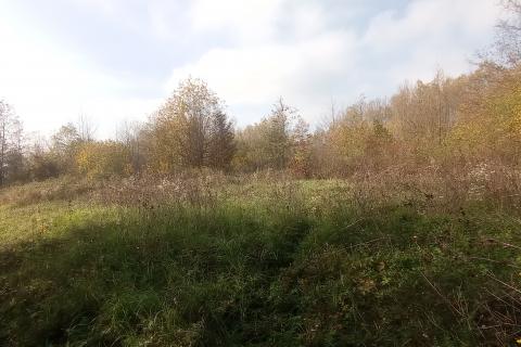 Slunj,Primišlje,seosko imanje 60016 m2 zemljišta