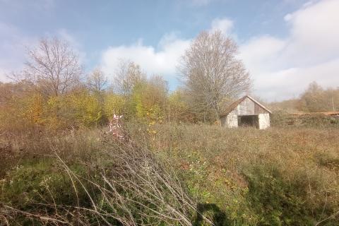 Slunj,Primišlje,seosko imanje 60016 m2 zemljišta