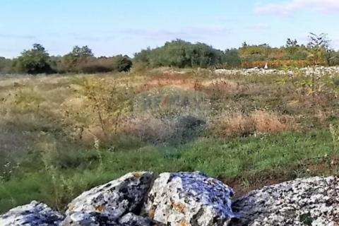 Istra, okolica Svetvincenta, gradjevinsko-poljoprivredna parcela