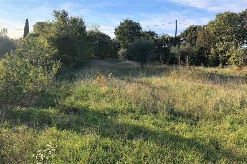 Kaštel, Buje, 1.917m2