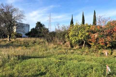 Kaštel, Buje, 1.917m2