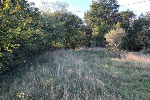 Kaštel, Buje, 1.917m2