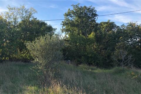 Kaštel, Buje, 1.917m2