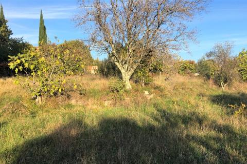 Kaštel, Buje, 1.917m2