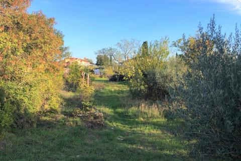 Kaštel, Buje, 1.917m2