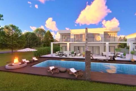 Momjan, Buje, 3.000m2