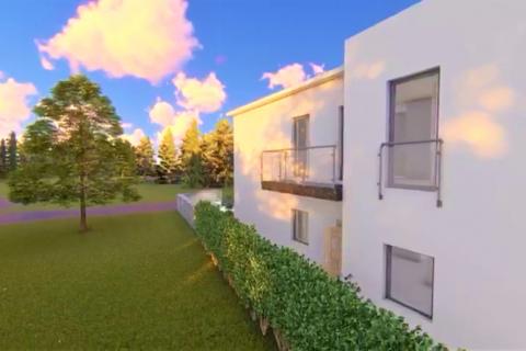 Momjan, Buje, 3.000m2