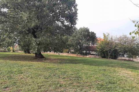 Hiša Marasi, Sveti Lovreč, 213m2