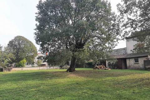 Hiša Marasi, Sveti Lovreč, 213m2