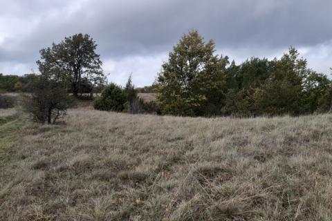 Žagrići, Žminj, 24.839m2