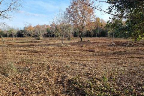 Rovinj, očišćen pašnjak/oranica uz glavni put i 600 metara od mora