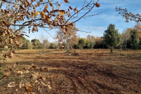 Rovinj, očišćen pašnjak/oranica uz glavni put i 600 metara od mora