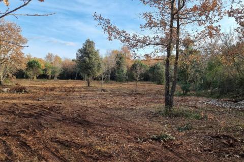 Rovinj, očišćen pašnjak/oranica uz glavni put i 600 metara od mora