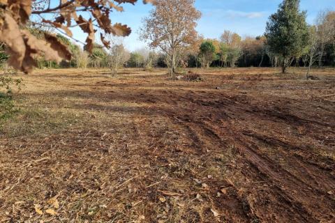 Rovinj, očišćen pašnjak/oranica uz glavni put i 600 metara od mora