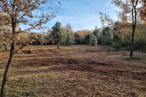 Rovinj, očišćen pašnjak/oranica uz glavni put i 600 metara od mora