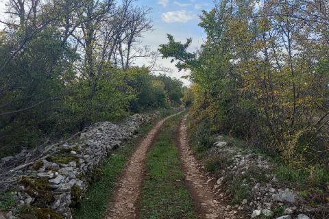 Istra, Fažana okolica, maslinik i parcela