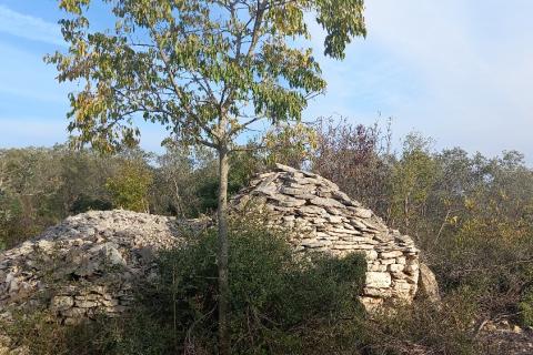 Istra, Fažana okolica, maslinik i parcela