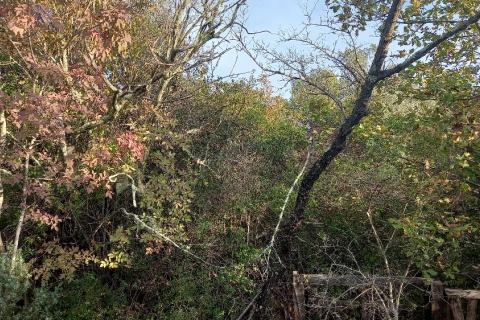 Istra, Fažana okolica, 4 poljoprivredne parcele