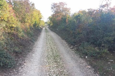 Istra, Fažana okolica, 4 poljoprivredne parcele
