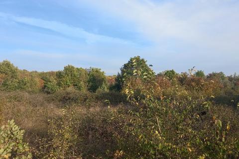 Istra, Fažana okolica, 4 poljoprivredne parcele