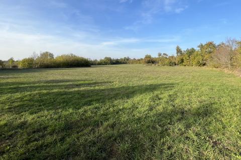 Vrsar - okolica, poljoprivredno zemljište uz prometnicu