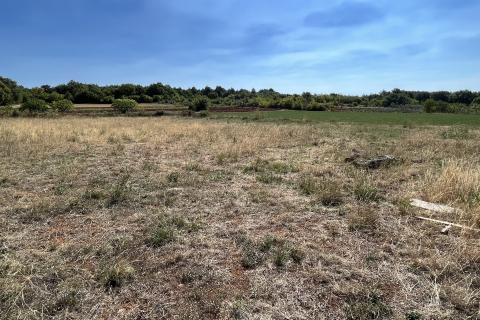 Sveti Lovreč - okolica, građevinsko i poljoprivredno zemljište u mirnom mjestu