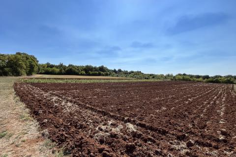Sveti Lovreč - okolica, građevinsko i poljoprivredno zemljište u mirnom mjestu