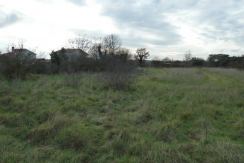 Terreno edificabile Fažana, 9.951m2