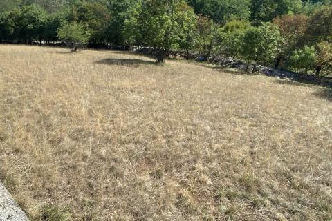 Cernik, Čavle, 3.118m2