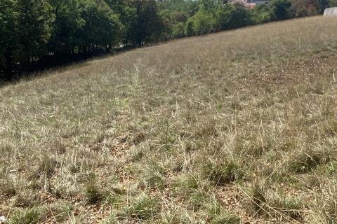 Cernik, Čavle, 3.118m2