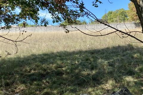 Cernik, Čavle, 3.118m2