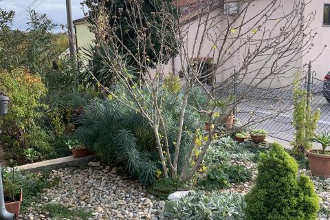 Hiša Matulji, 779m2