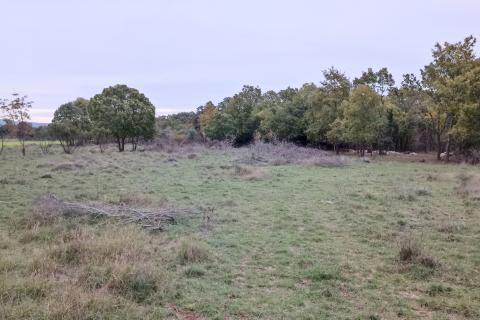 Duga Uvala okolica, Marčana, 500m2