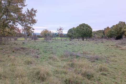 Istra, Duga uvala, negrađevinsko zemljište, površine 600m2, 1,5km od mora