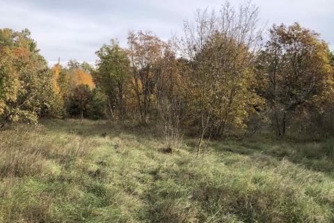 Земельный участок строительного назначения Rakalj, Marčana, 1.116m2