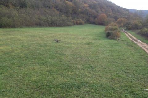 Kanfanar,Vidulini-lijepo poljoprivredno zemljište-13270m2