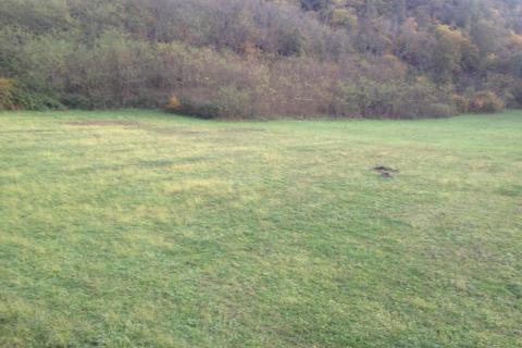 Kanfanar,Vidulini-lijepo poljoprivredno zemljište-13270m2