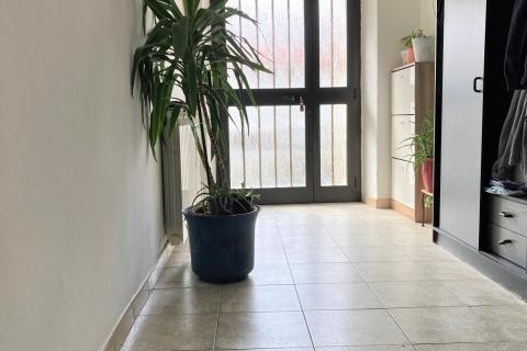 House Momjan, Buje, 370m2