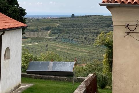 House Momjan, Buje, 370m2