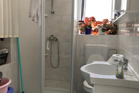 House Momjan, Buje, 370m2