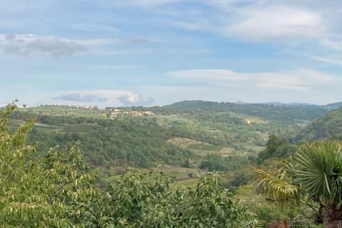 House Momjan, Buje, 370m2