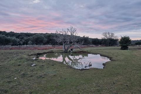 Premužićeva staza, Fruga