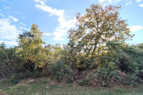 Peroj – vikend parcela 330 m²