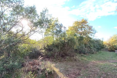 Peroj – vikend parcela 330 m²