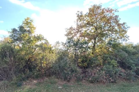 Peroj – vikend parcela 330 m²