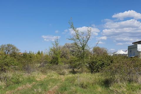 Bauland Poreč, 658m2