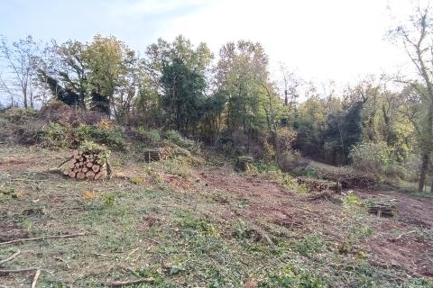 Istra, Žminj – Gradbeno zemljišče, odlična lokacija