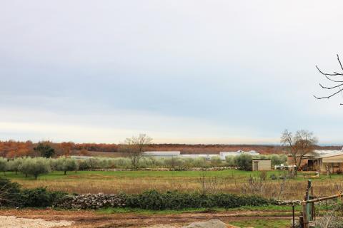 VIŠNJAN-građevinsko zemljište s poglednom na more